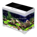 /msite/products/detail/productid/59526839/id/650124.html